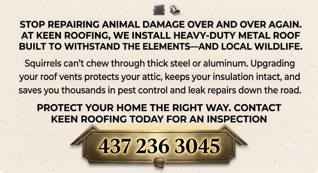 Keen Roofing call-to-action graphic promoting heavy-duty metal roof vents and inspection at 437-236-3045