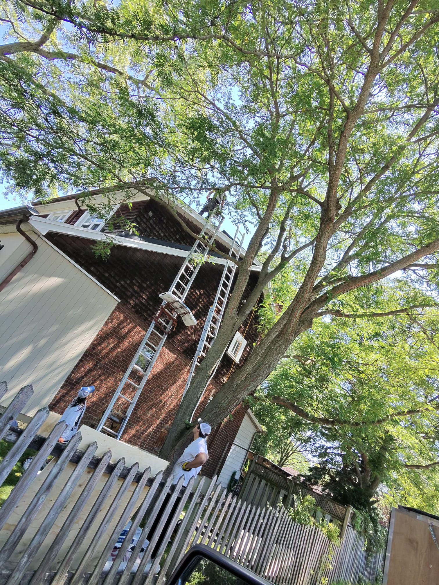 Resheet Over Wood Deck — Etobicoke Wood Deck Resheet in Etobicoke, ON