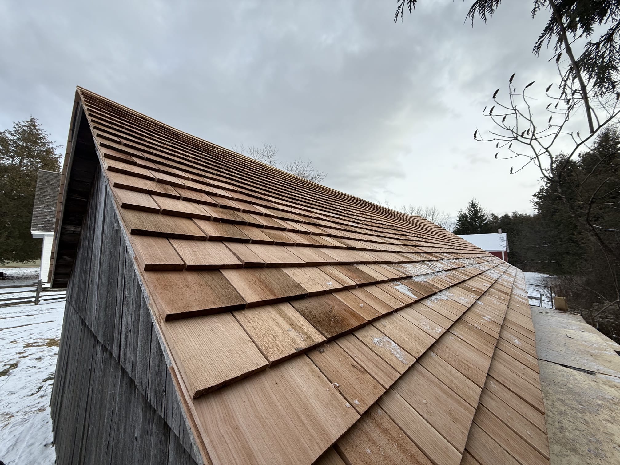 Western Red Cedar — Innisfil Beach Cottages in Innisfil, ON
